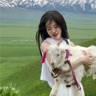 消失的她与我那些事儿孤岛爱之狂野迷踪